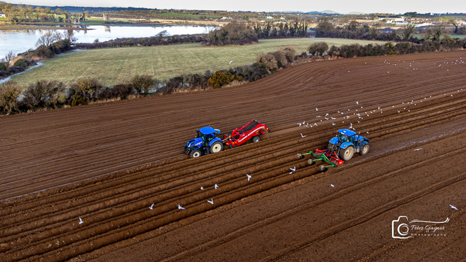 20240119-DJI_0449